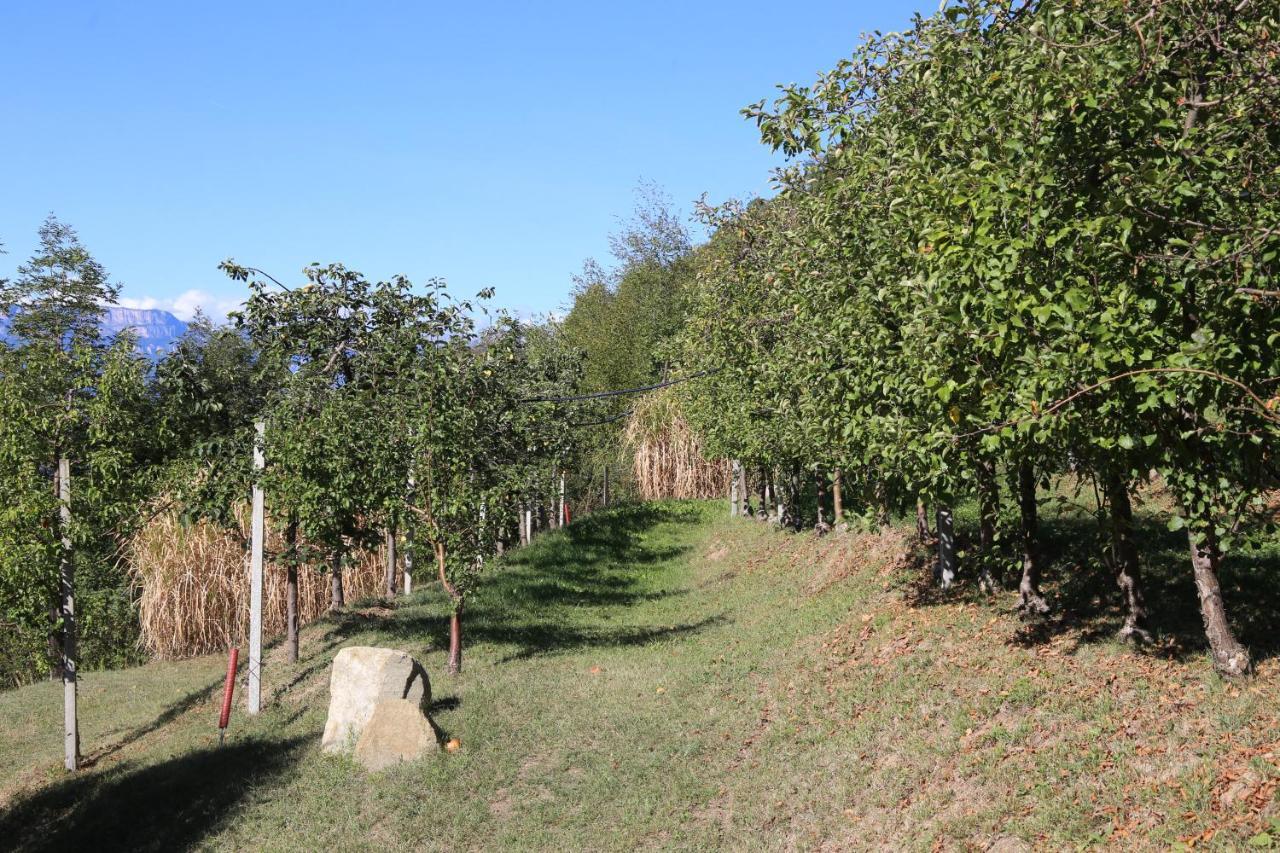 Ausserperskolerhof - Adults Only ฟีแอ ภายนอก รูปภาพ