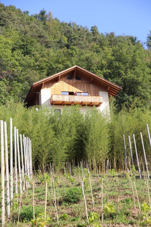 Ausserperskolerhof - Adults Only ฟีแอ ภายนอก รูปภาพ